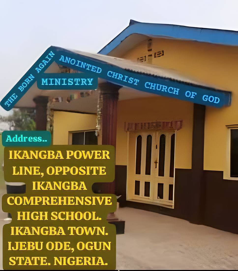 Citrus 1772499684876 0 1