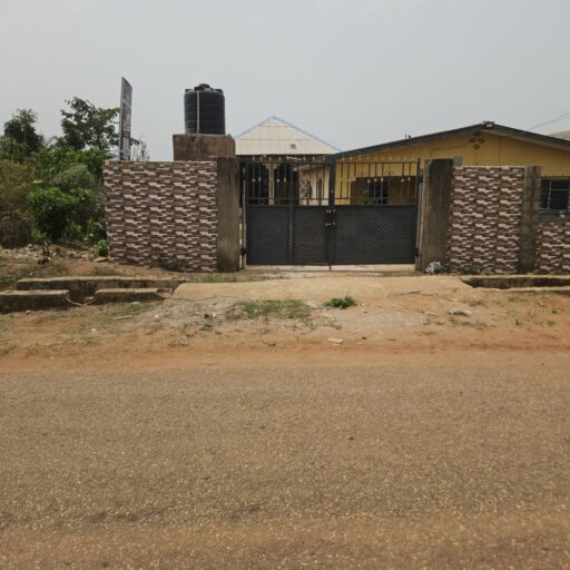 cropped 20260222 124859 scaled 1.jpg